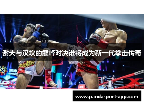 谢夫与汉坎的巅峰对决谁将成为新一代拳击传奇